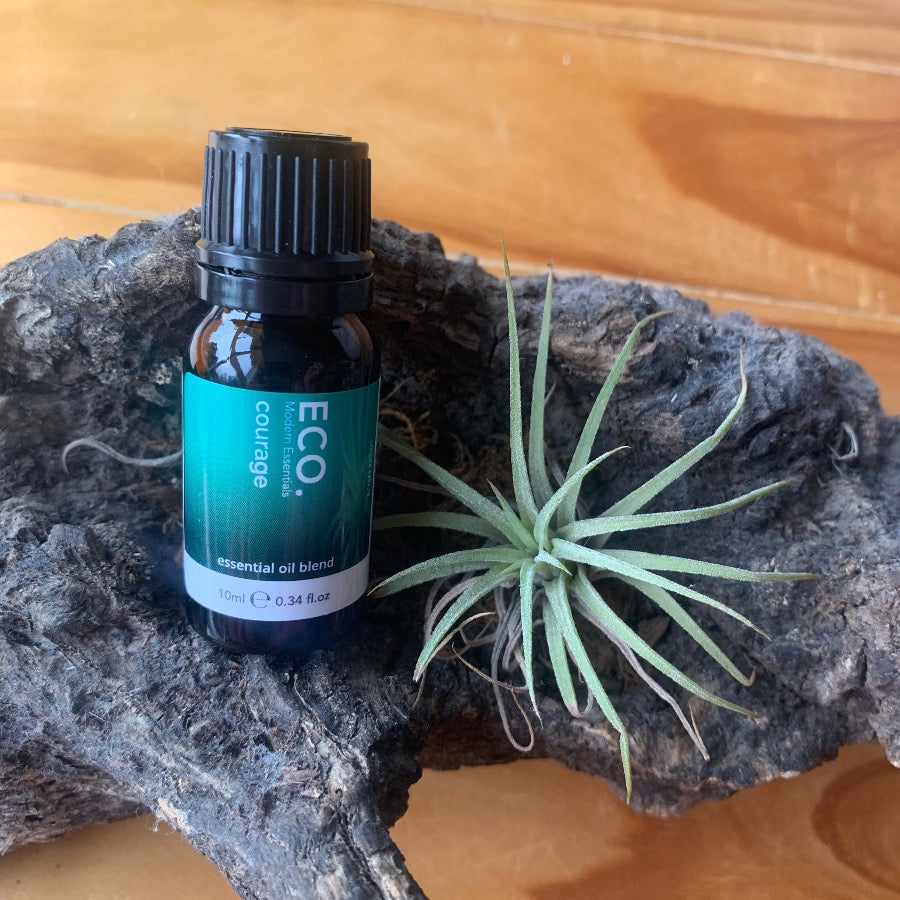 Mindset Collection - Courage Essential Oil Blend-Peaceful Lotus