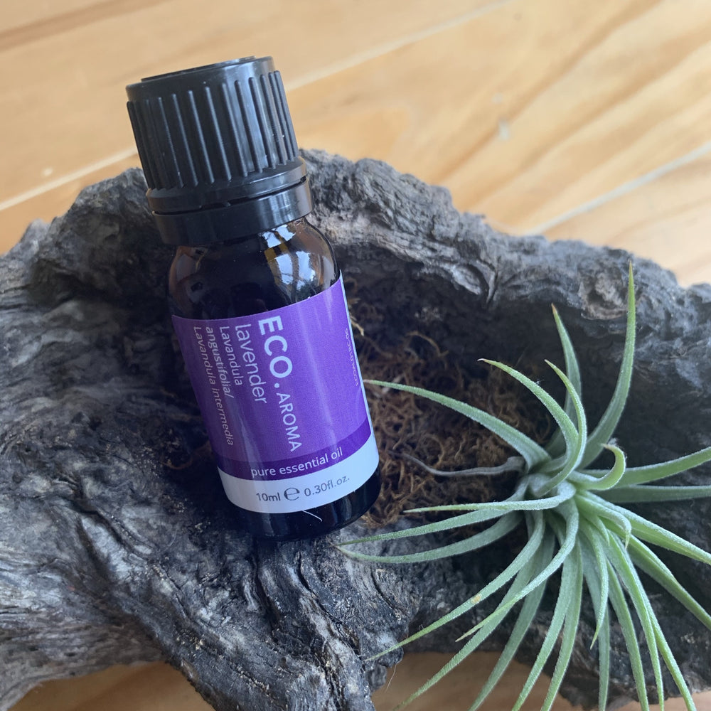 Lavender Pure Essential Oil-Peaceful Lotus