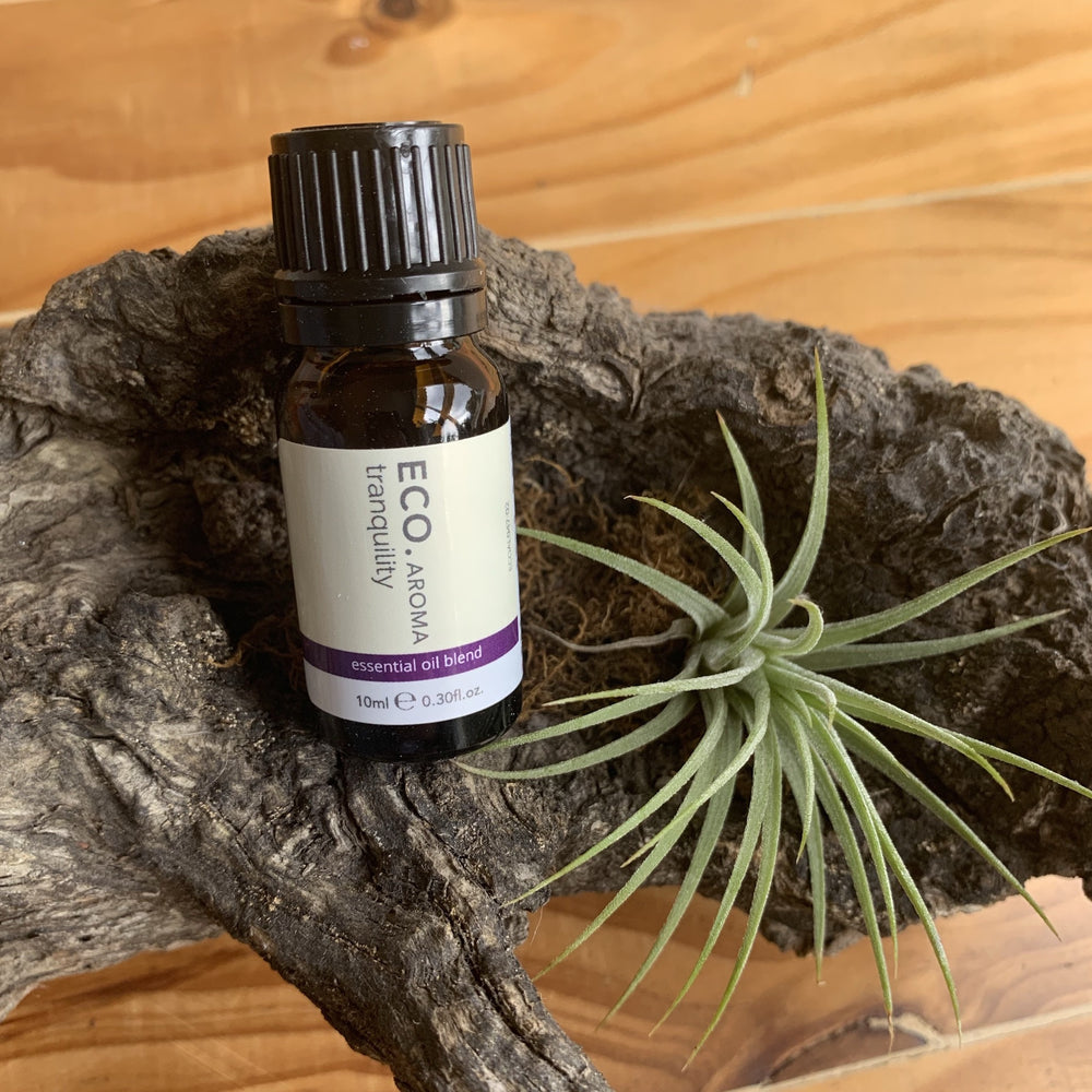 Tranquility Blend Essential Oil