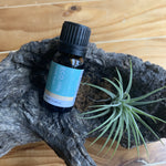 ECO Little Study Time Essential Oil