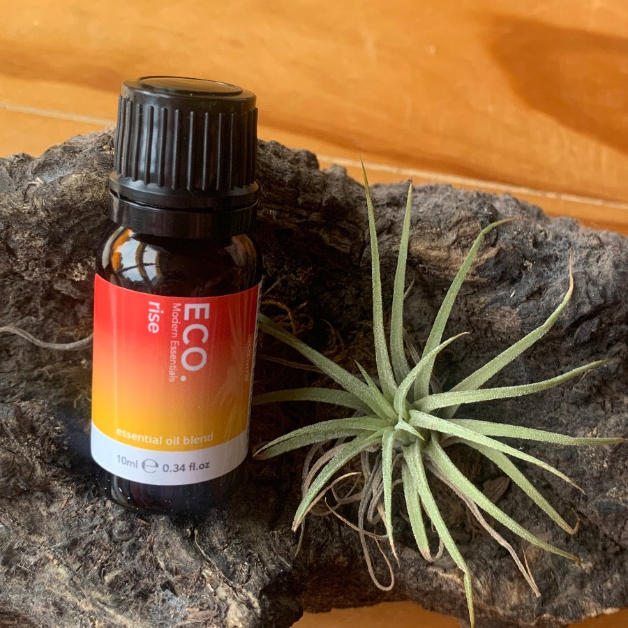 Mindset Collection - Rise Essential Oil Blend-Peaceful Lotus