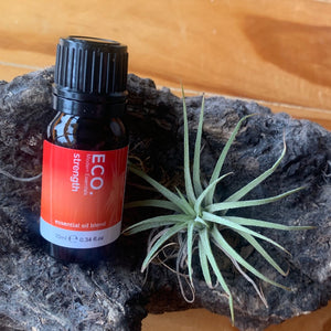 Mindset Collection - Strength Essential Oil Blend-Peaceful Lotus